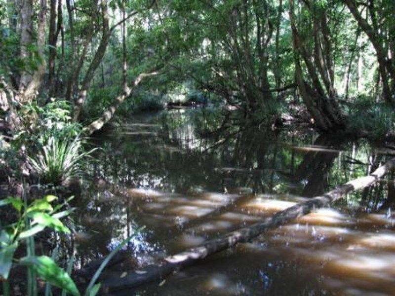 Boolambayte NSW 2423