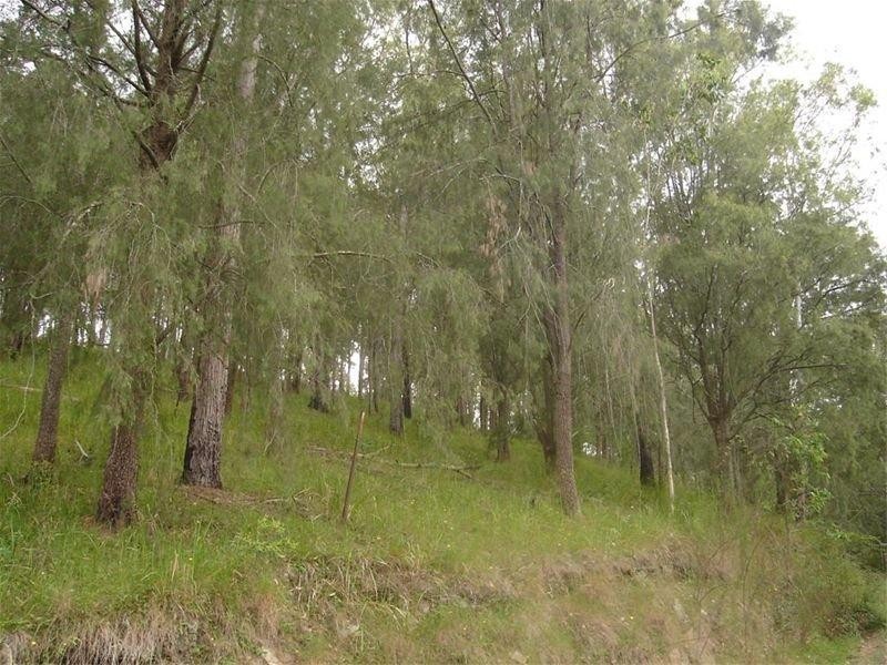 Barrington Tops NSW 2422