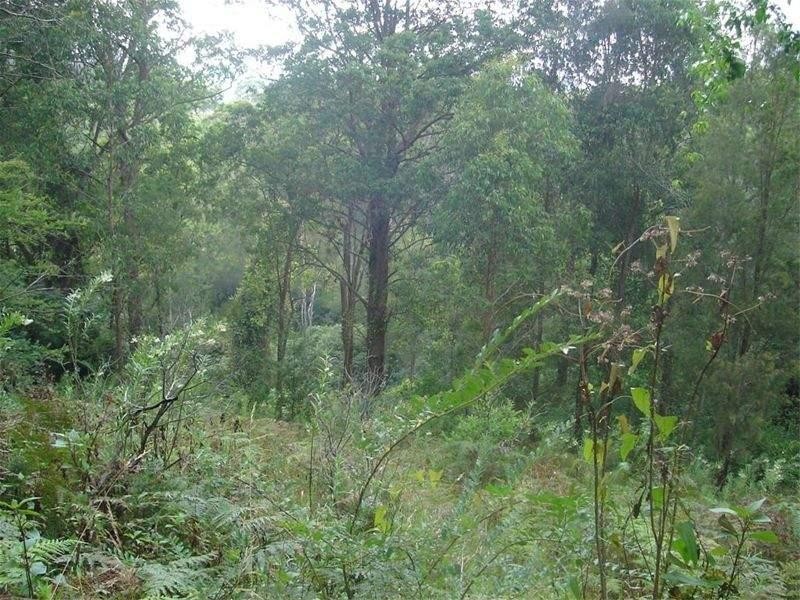 Barrington Tops NSW 2422