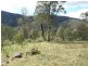 Barrington Tops NSW 2422