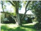 Campvale NSW 2318