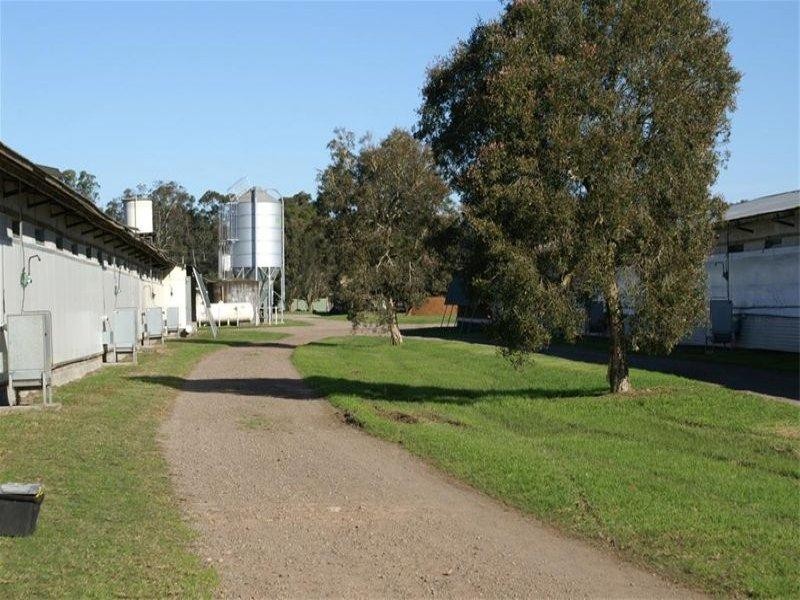 Campvale NSW 2318