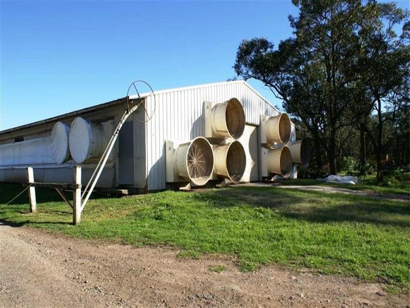 Campvale NSW 2318