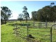 Campvale NSW 2318