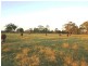 Swan Bay NSW 2324