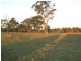 Swan Bay NSW 2324