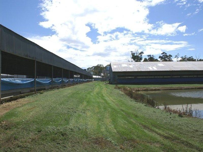 Fiddletown NSW 2159