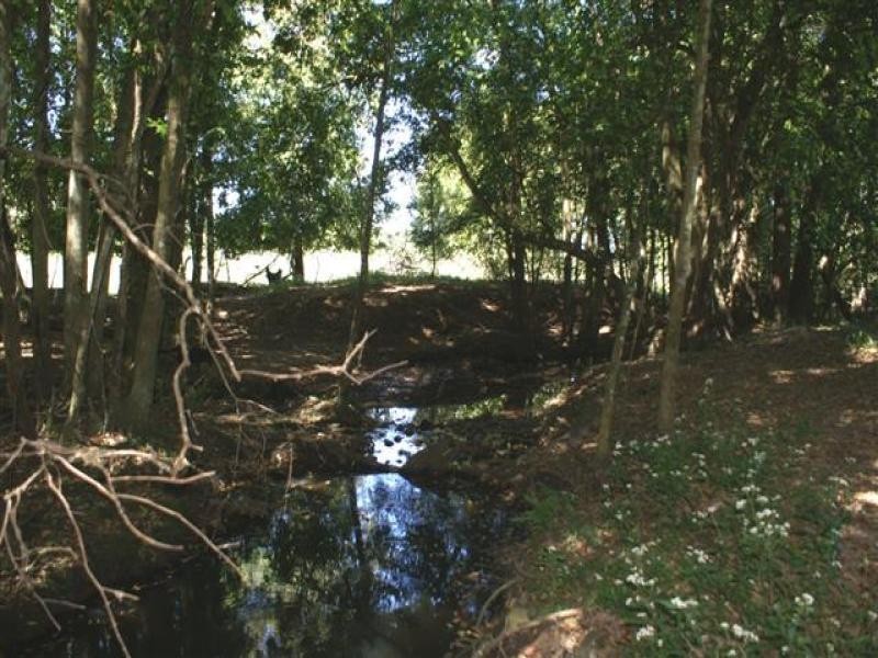 1352 Booral Road, Girvan NSW 2425