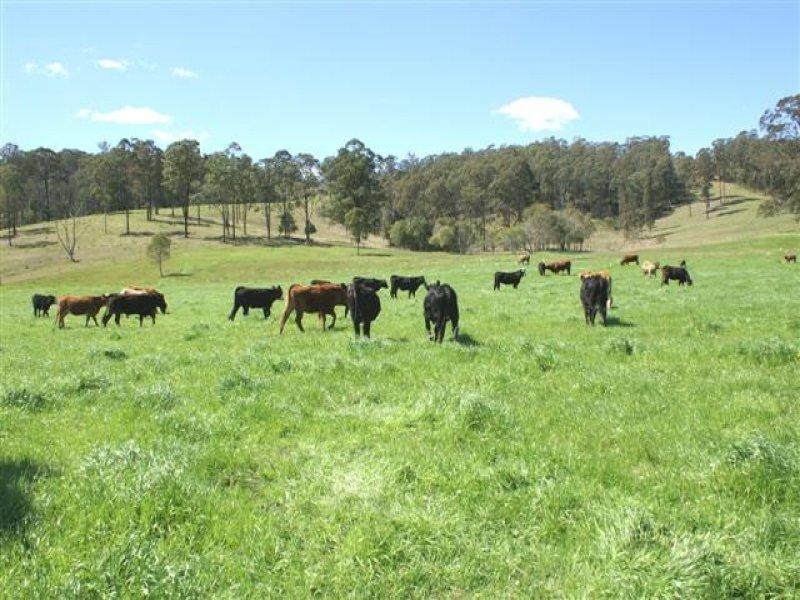 1352 Booral Road, Girvan NSW 2425