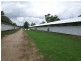 Luskintyre NSW 2321