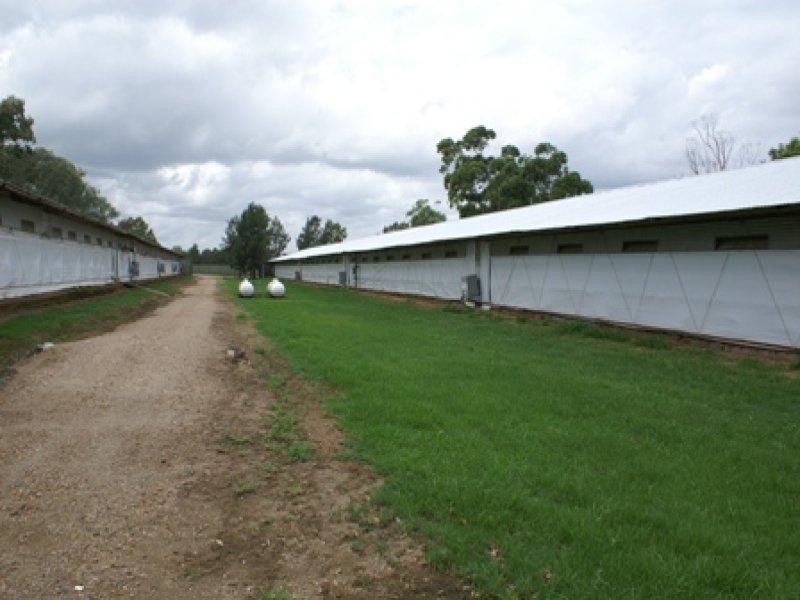 Luskintyre NSW 2321