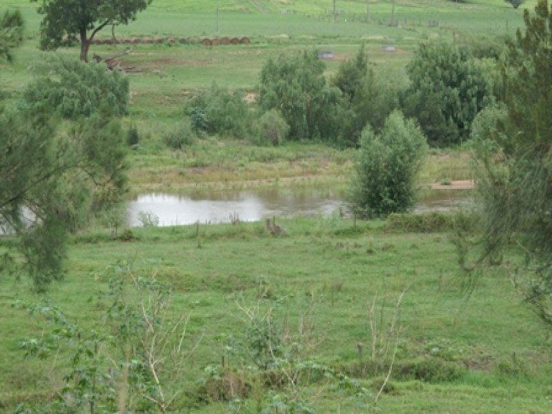 Luskintyre NSW 2321