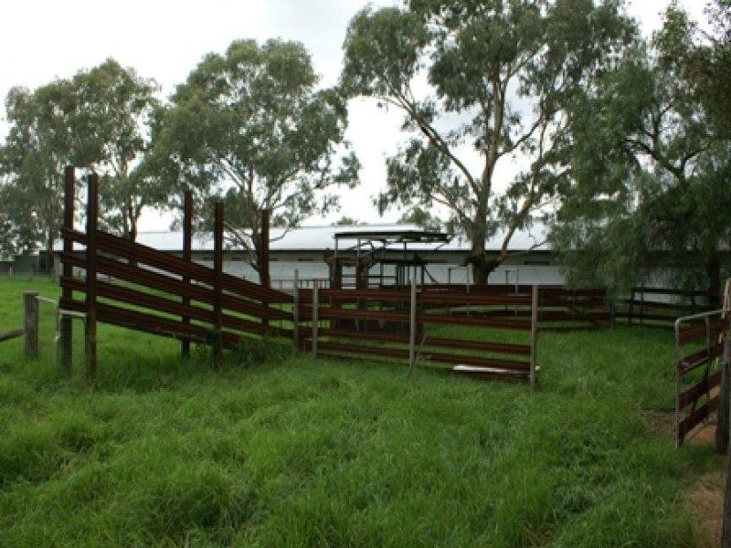 Luskintyre NSW 2321