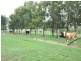 Luskintyre NSW 2321