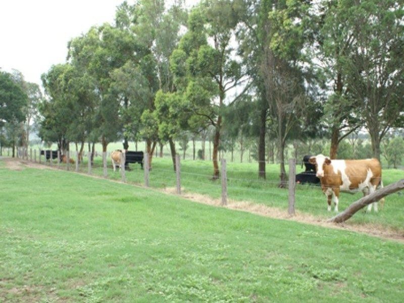 Luskintyre NSW 2321