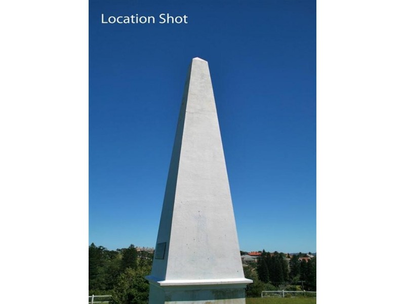 44 Tyrell Street, The Hill NSW 2300