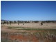 Attunga NSW 2345