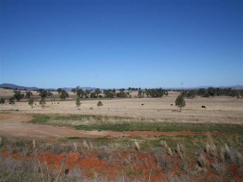 Attunga NSW 2345
