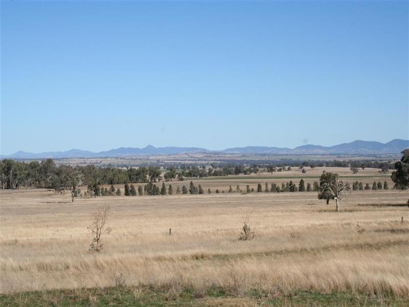 Attunga NSW 2345