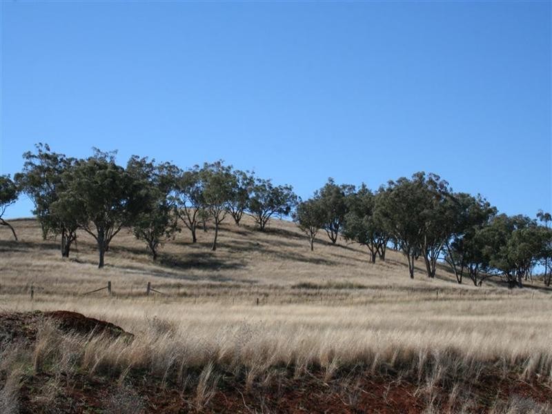 Attunga NSW 2345