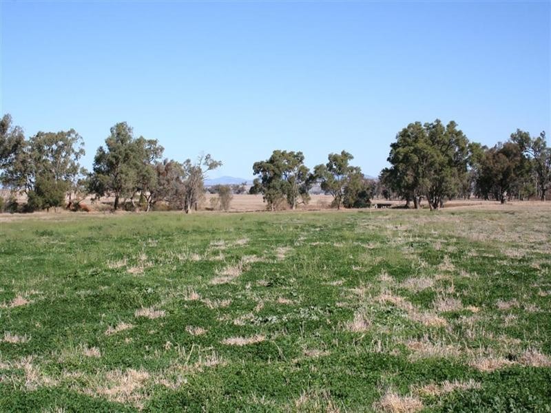 Attunga NSW 2345