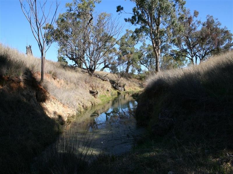 Attunga NSW 2345