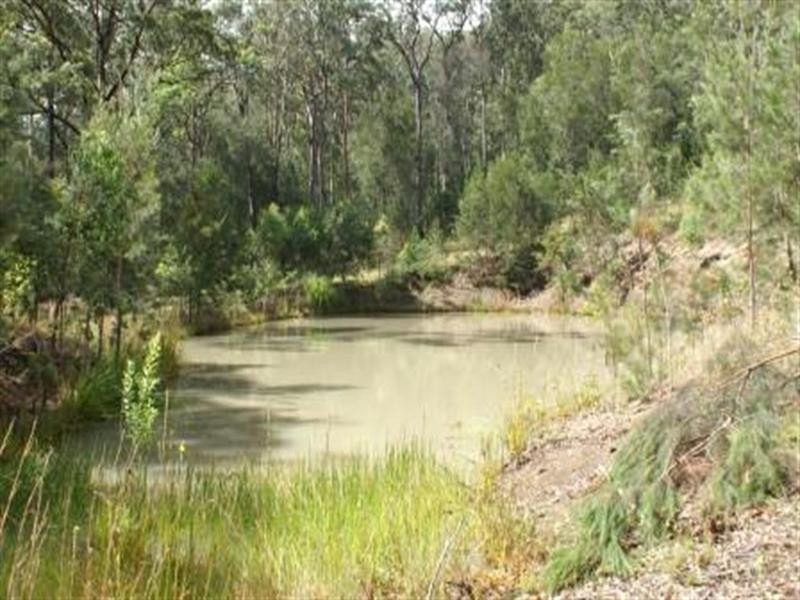Coolongolook NSW 2423