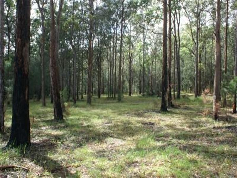 Coolongolook NSW 2423