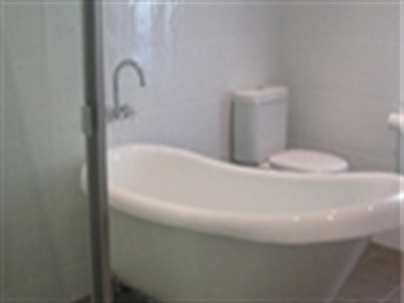 41 Union Street, Cooks Hill NSW 2300