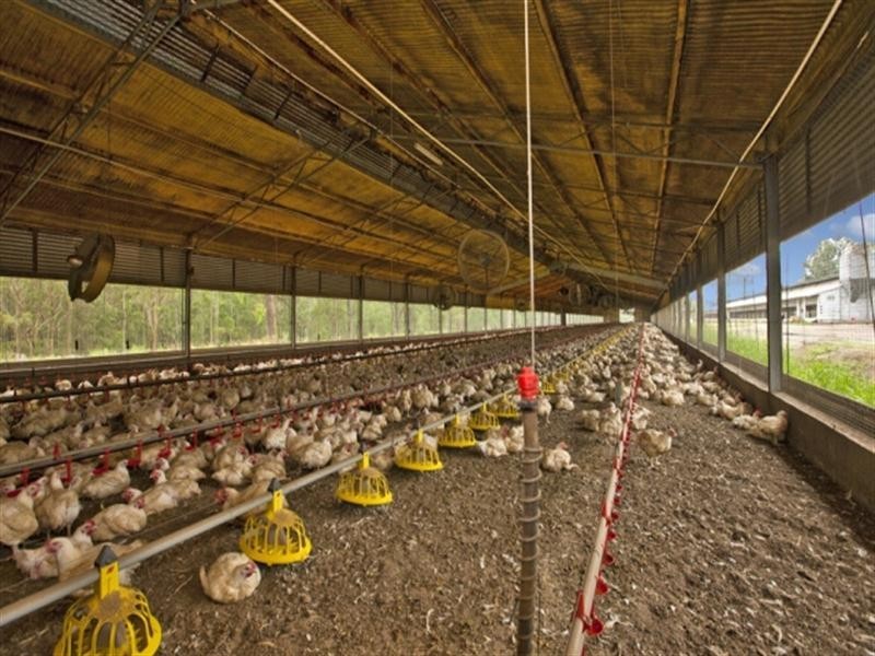 Bishops Bridge NSW 2326