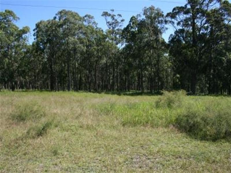 Cnr Uffington Road and Duns Creek Road, Duns Creek NSW 2321