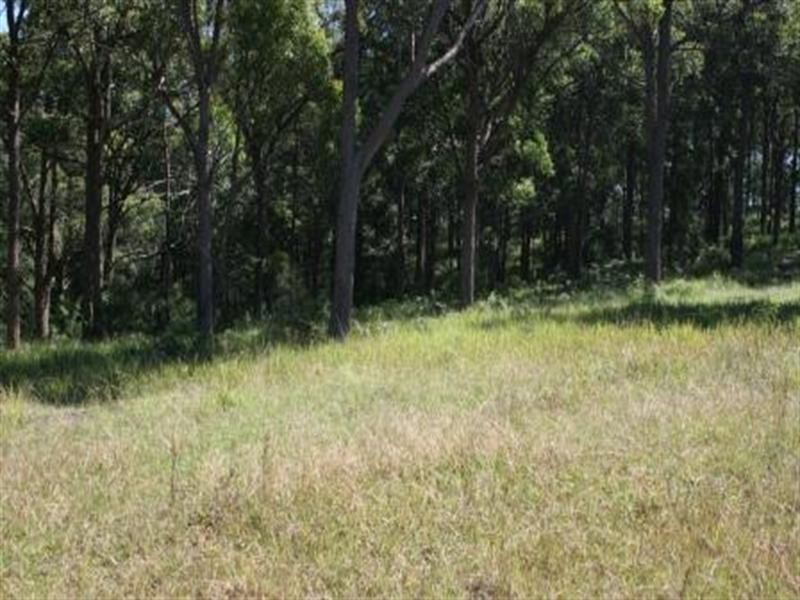 Cnr Uffington Road and Duns Creek Road, Duns Creek NSW 2321