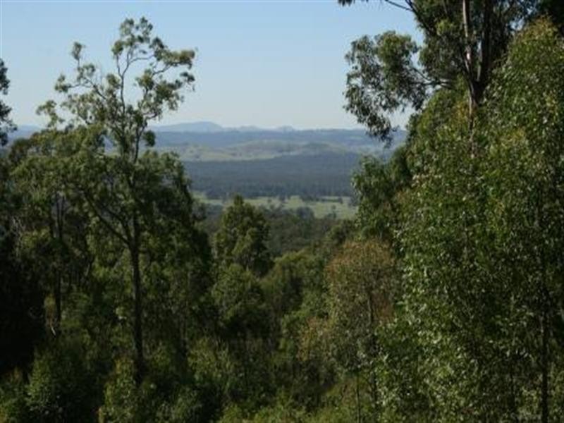 Cnr Uffington Road and Duns Creek Road, Duns Creek NSW 2321