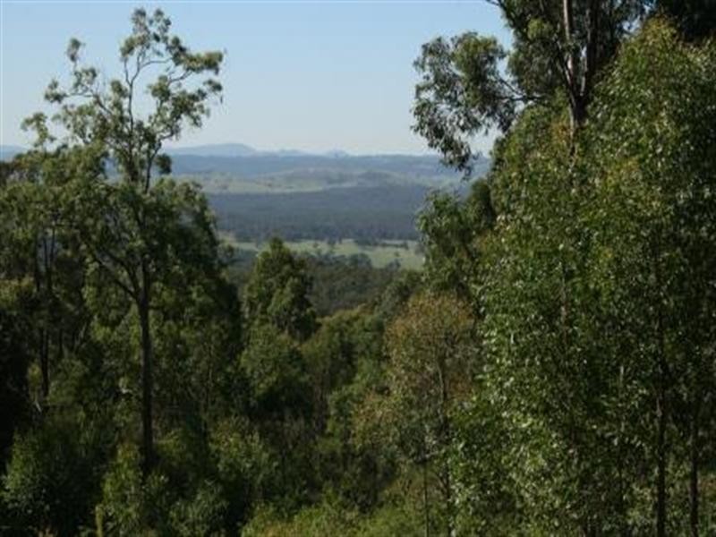 Cnr Uffington Road and Duns Creek Road, Duns Creek NSW 2321