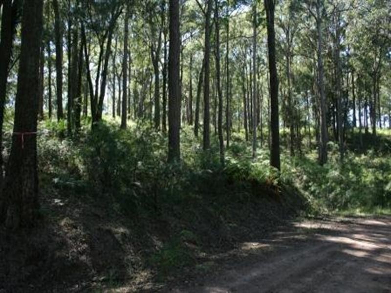 Cnr Uffington Road and Duns Creek Road, Duns Creek NSW 2321