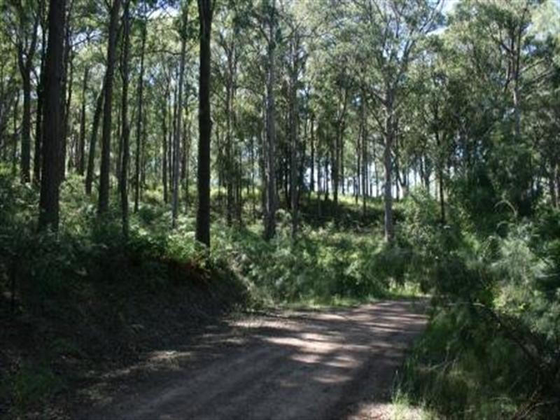 Cnr Uffington Road and Duns Creek Road, Duns Creek NSW 2321