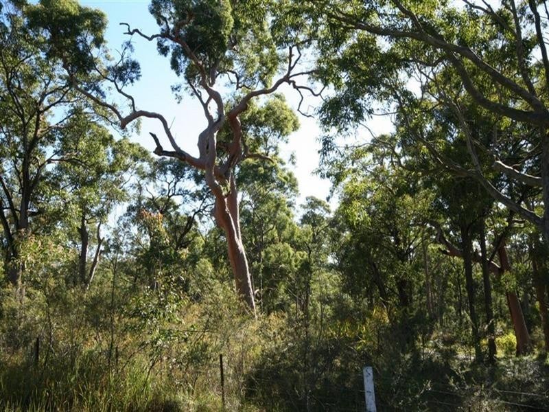 3 Transfield Avenue, Edgeworth NSW 2285