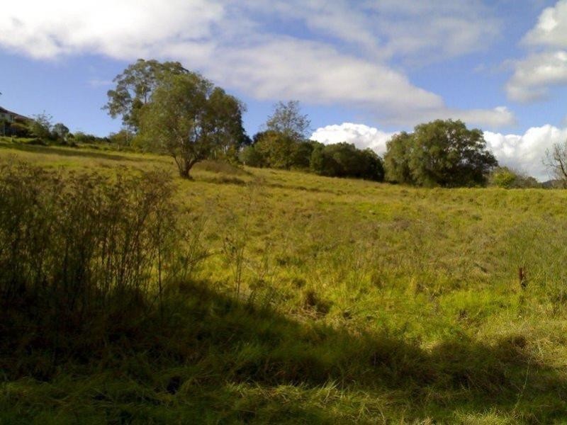 27 Count Street, Paterson NSW 2421