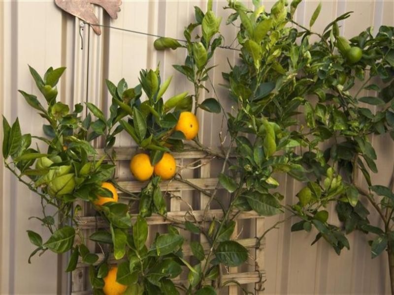 55 Newcastle Street, Stockton NSW 2295