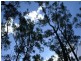 Swan Bay NSW 2324