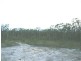 Swan Bay NSW 2324