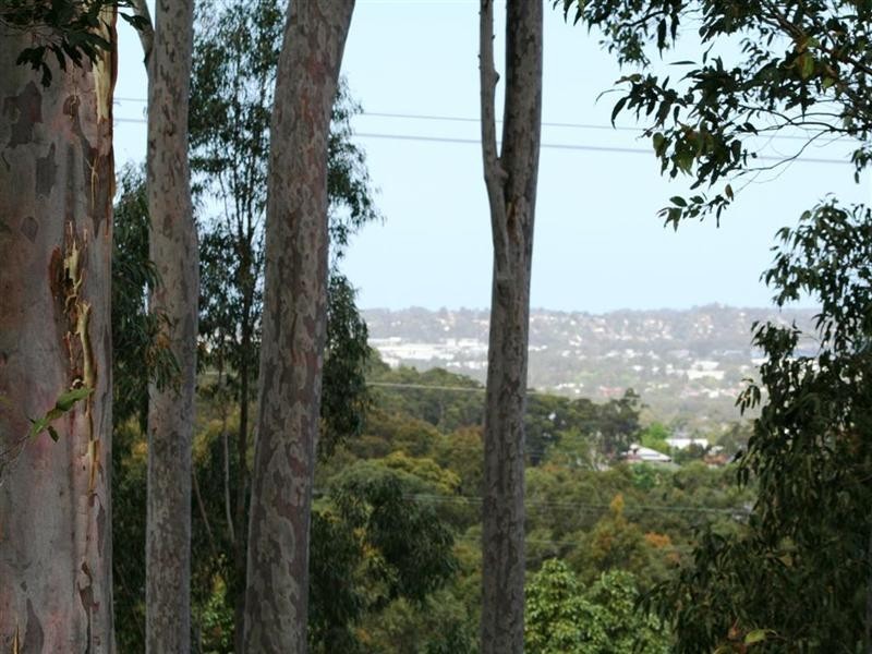 3 Hanover Road, Cameron Park NSW 2285