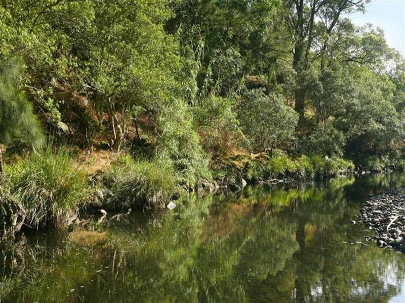Lostock NSW 2311
