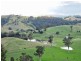 Lostock NSW 2311