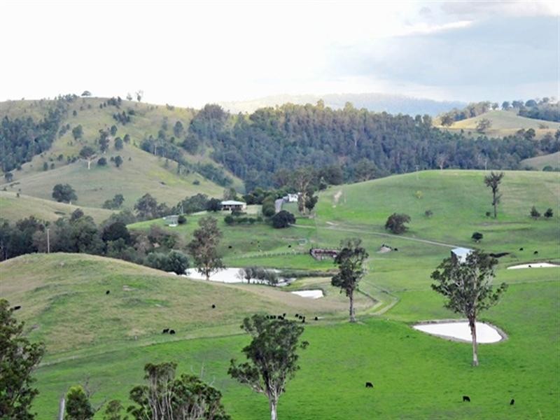 Lostock NSW 2311