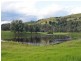 Lostock NSW 2311