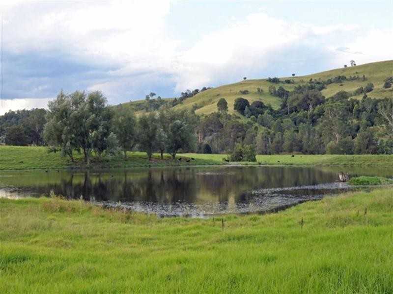 Lostock NSW 2311