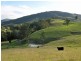 Lostock NSW 2311