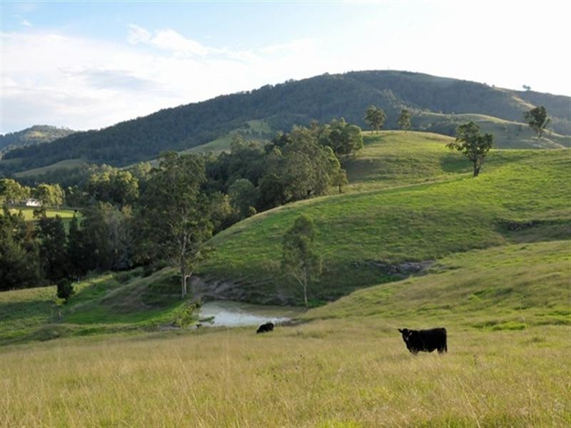 Lostock NSW 2311
