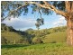 Lostock NSW 2311
